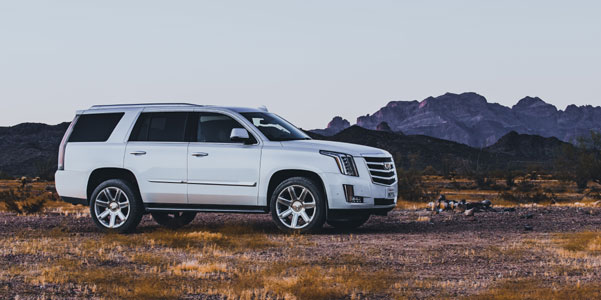 You can make a profit by buying and reselling wrecked trucks for sale 